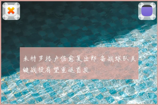 米特罗格卢伤愈复出即 备战球队关键战役有望重返首发