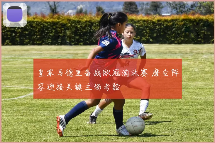 皇家马德里备战欧冠淘汰赛 磨合阵容迎接关键主场考验