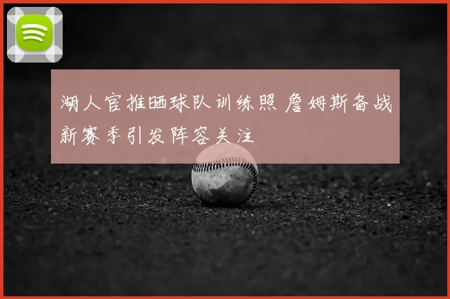 湖人官推晒球队训练照 詹姆斯备战新赛季引发阵容关注