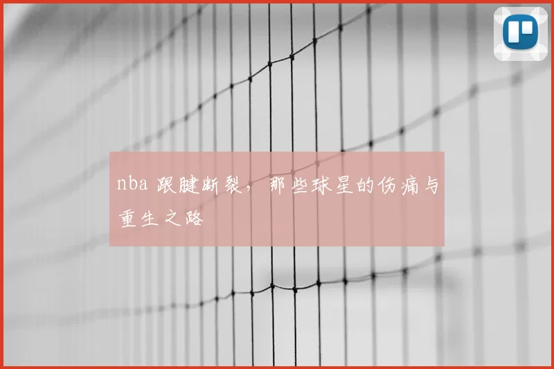 nba 跟腱断裂，那些球星的伤痛与重生之路